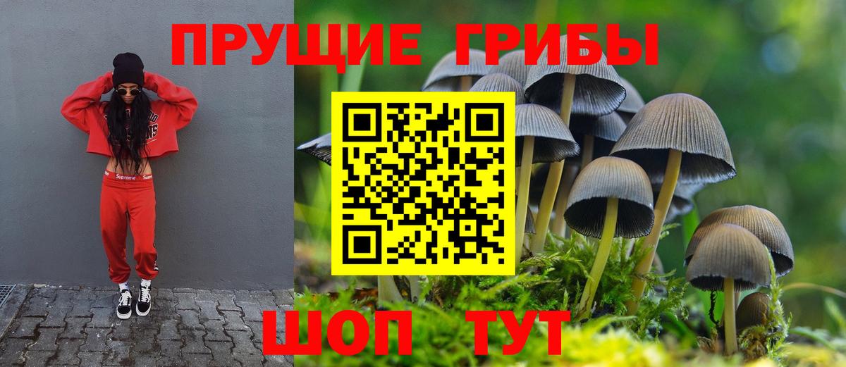 Галлюциногенные грибы Psilocybine cubensis  Вход с VPN  Новодвинск 