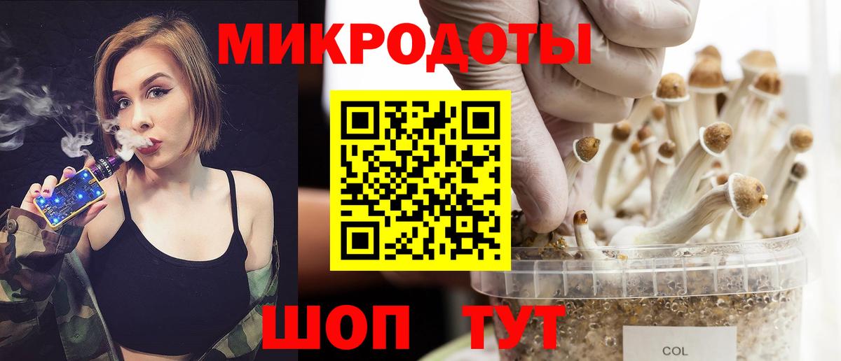 Псилоцибиновые грибы Psilocybe Новодвинск